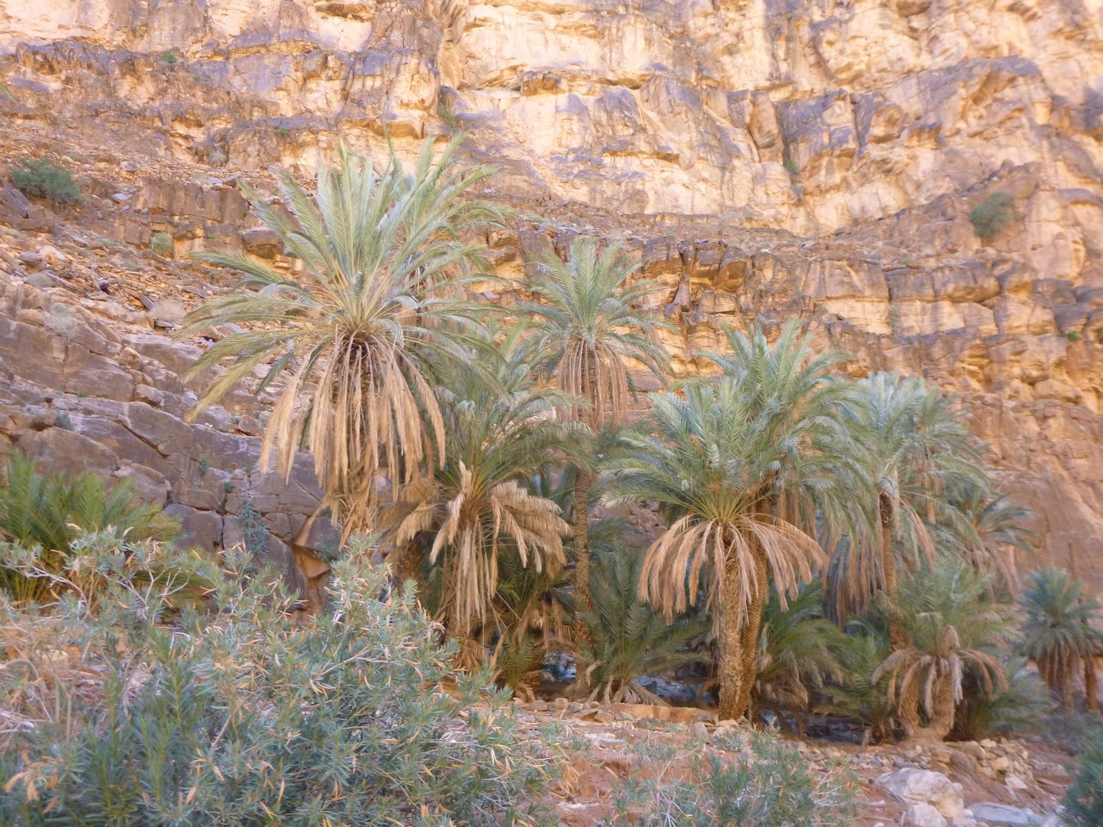 Amtoudi