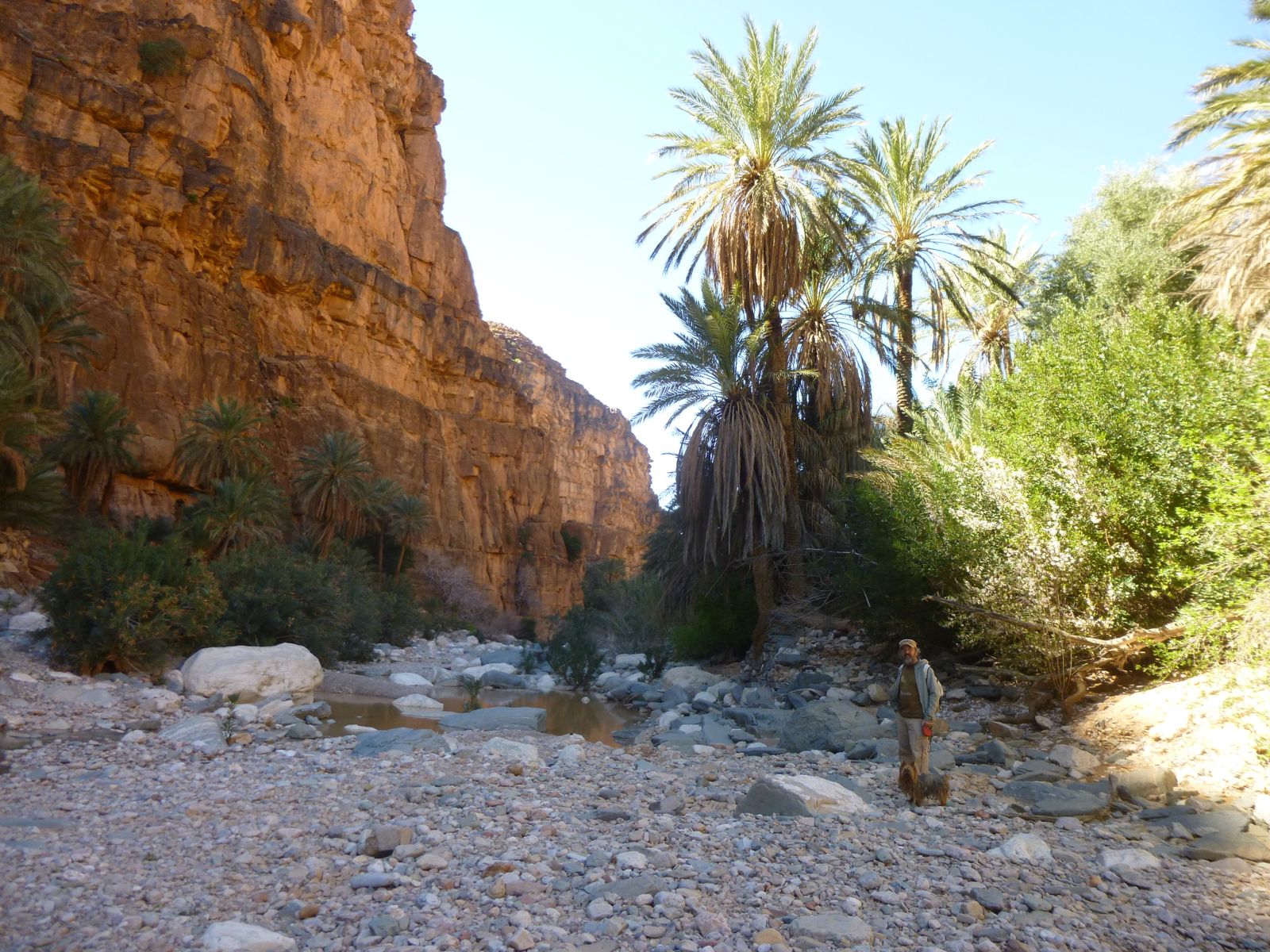 Amtoudi