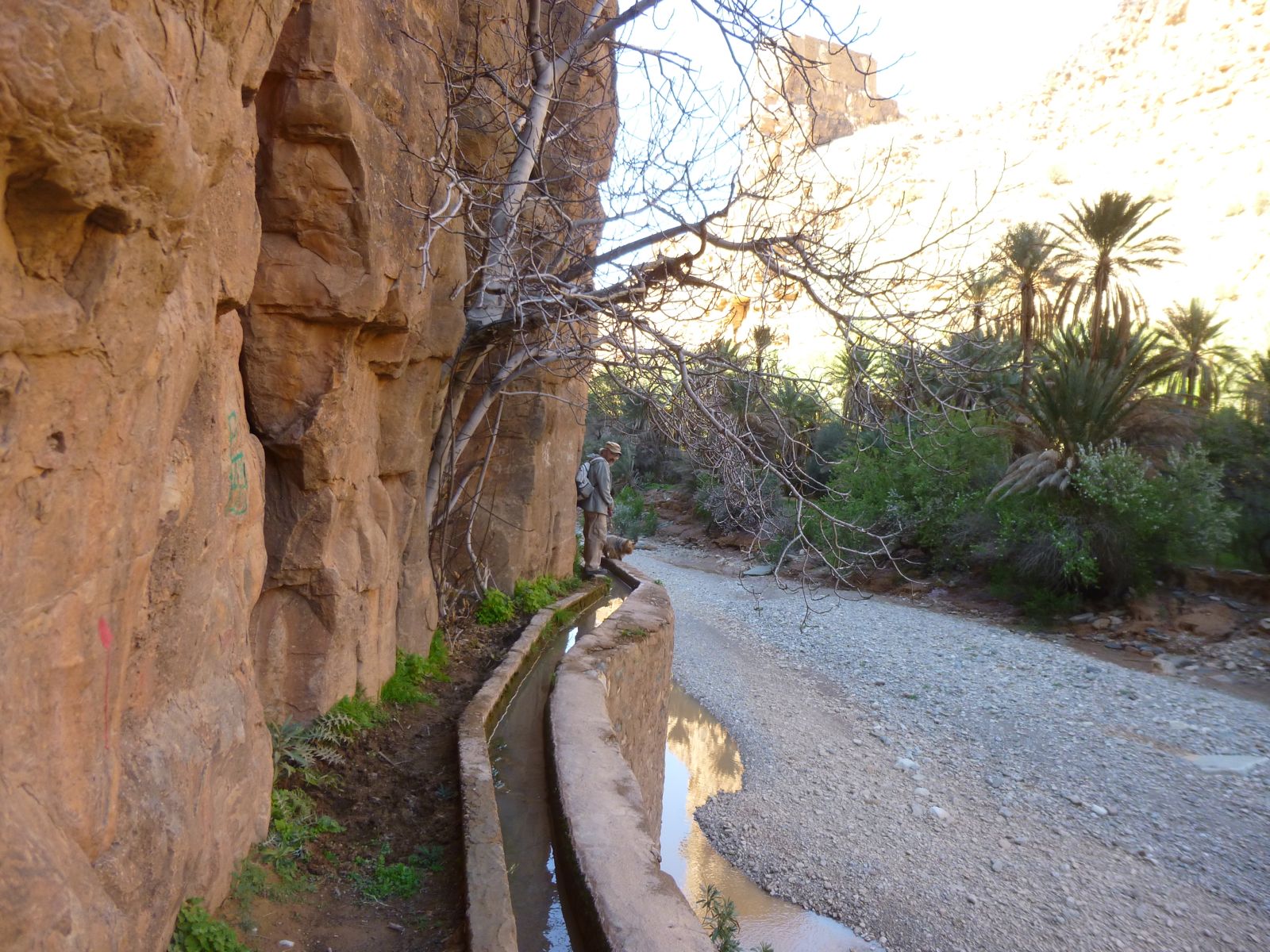 Amtoudi