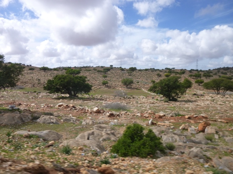 Route Tafraout-Amtoudi
