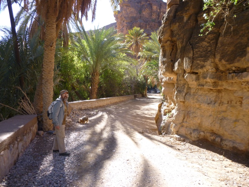 Amtoudi
