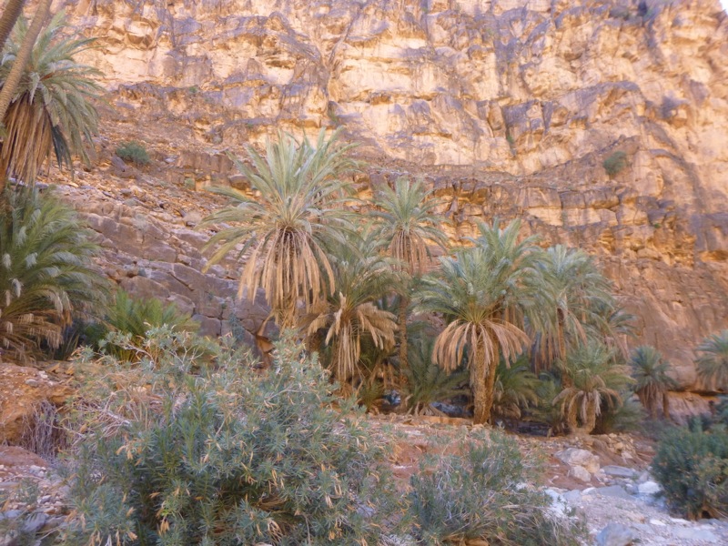 Amtoudi