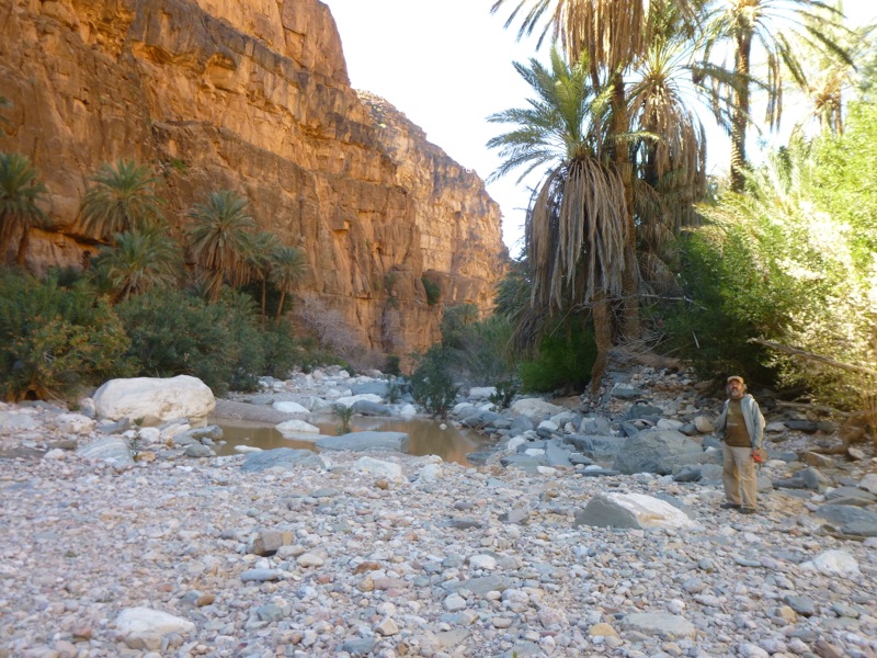 Amtoudi