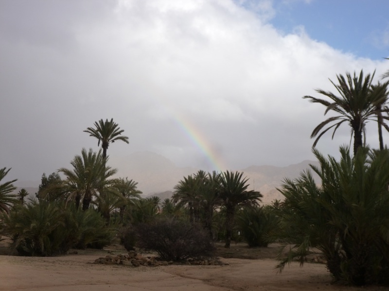 Tafraout