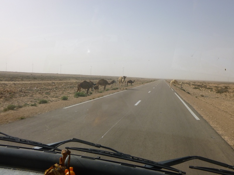 Route Naïla-OuedKraa