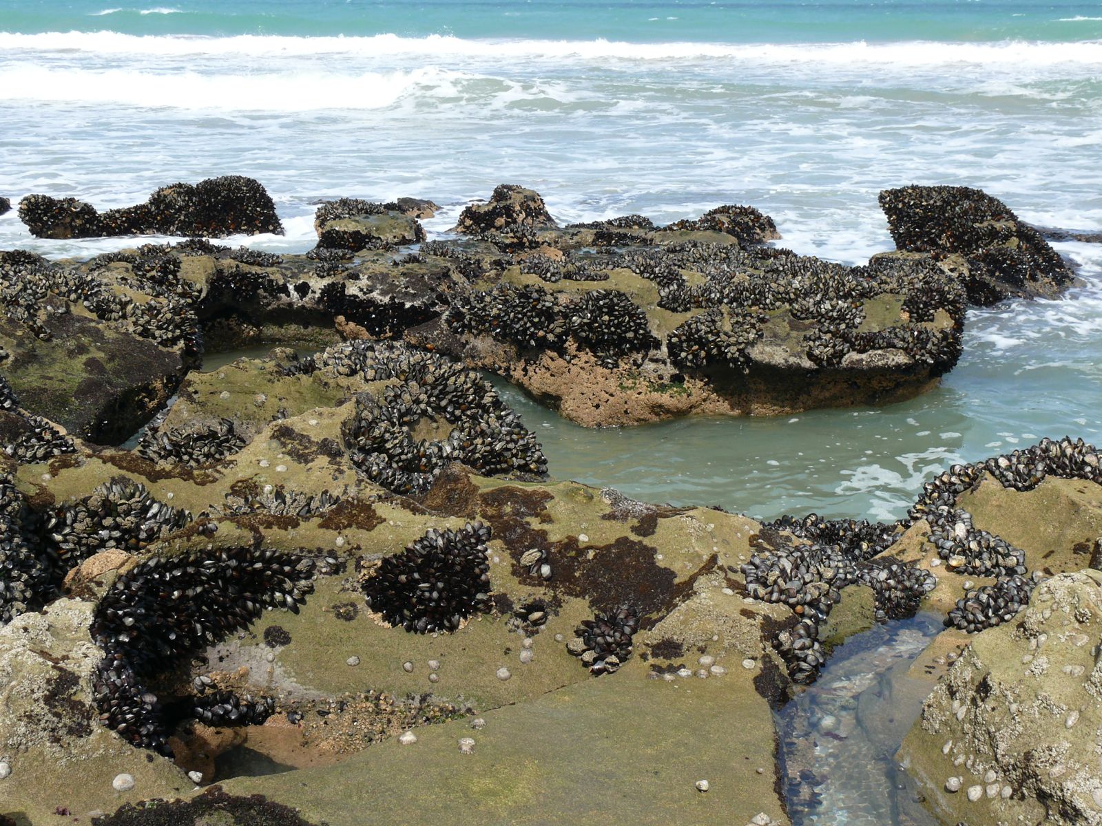 OuedKraa
