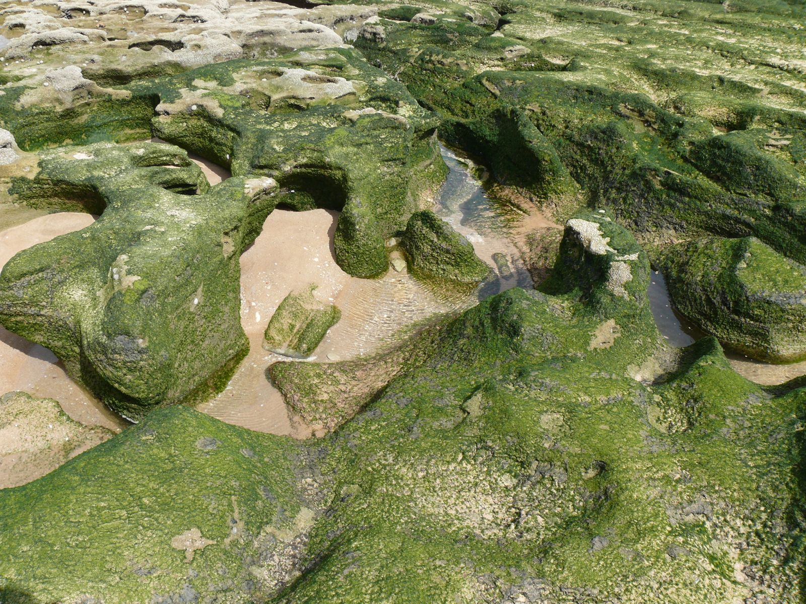 OuedKraa