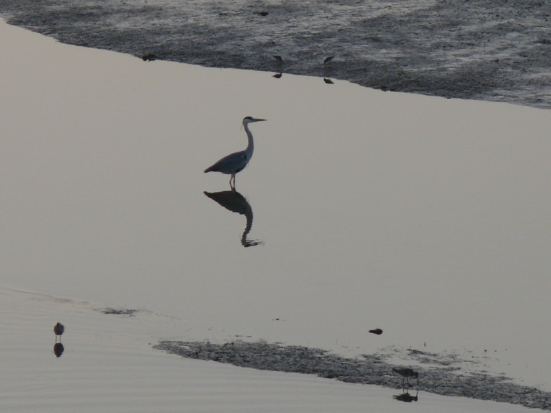 Lagune de Naïla