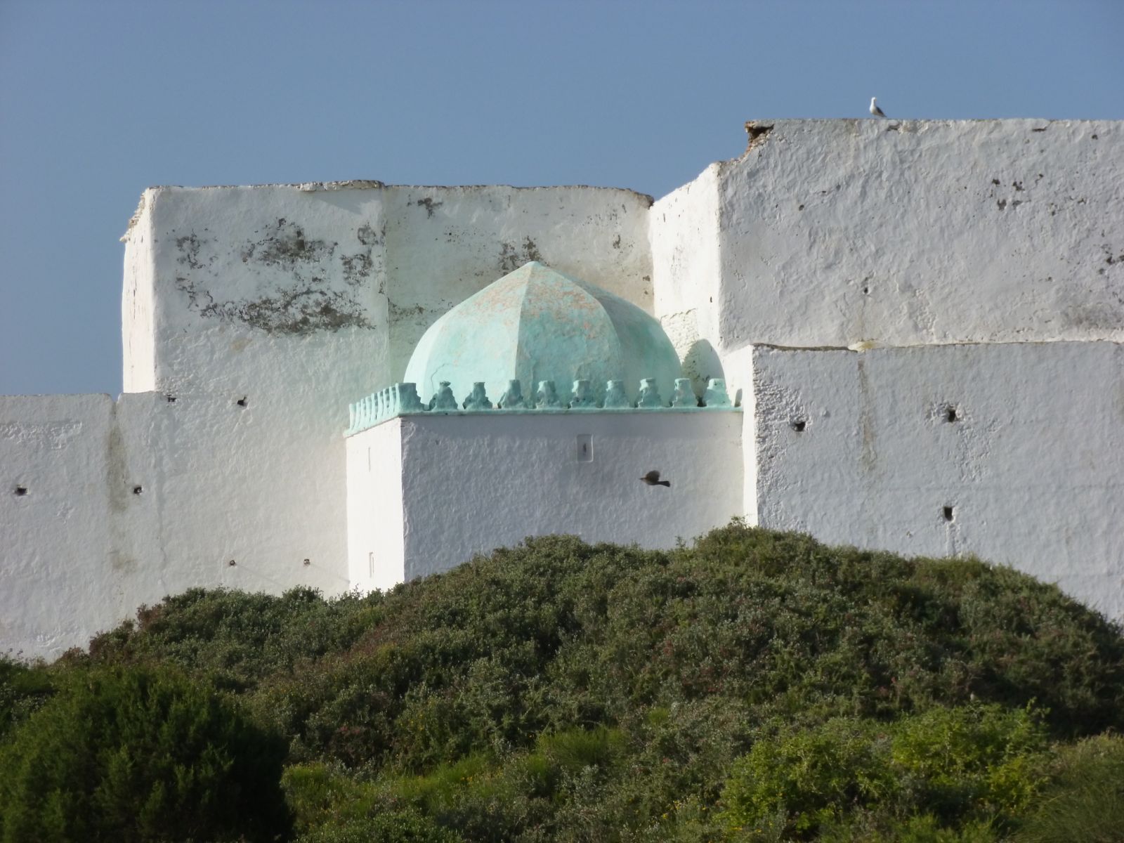 Sidi Kouaki
